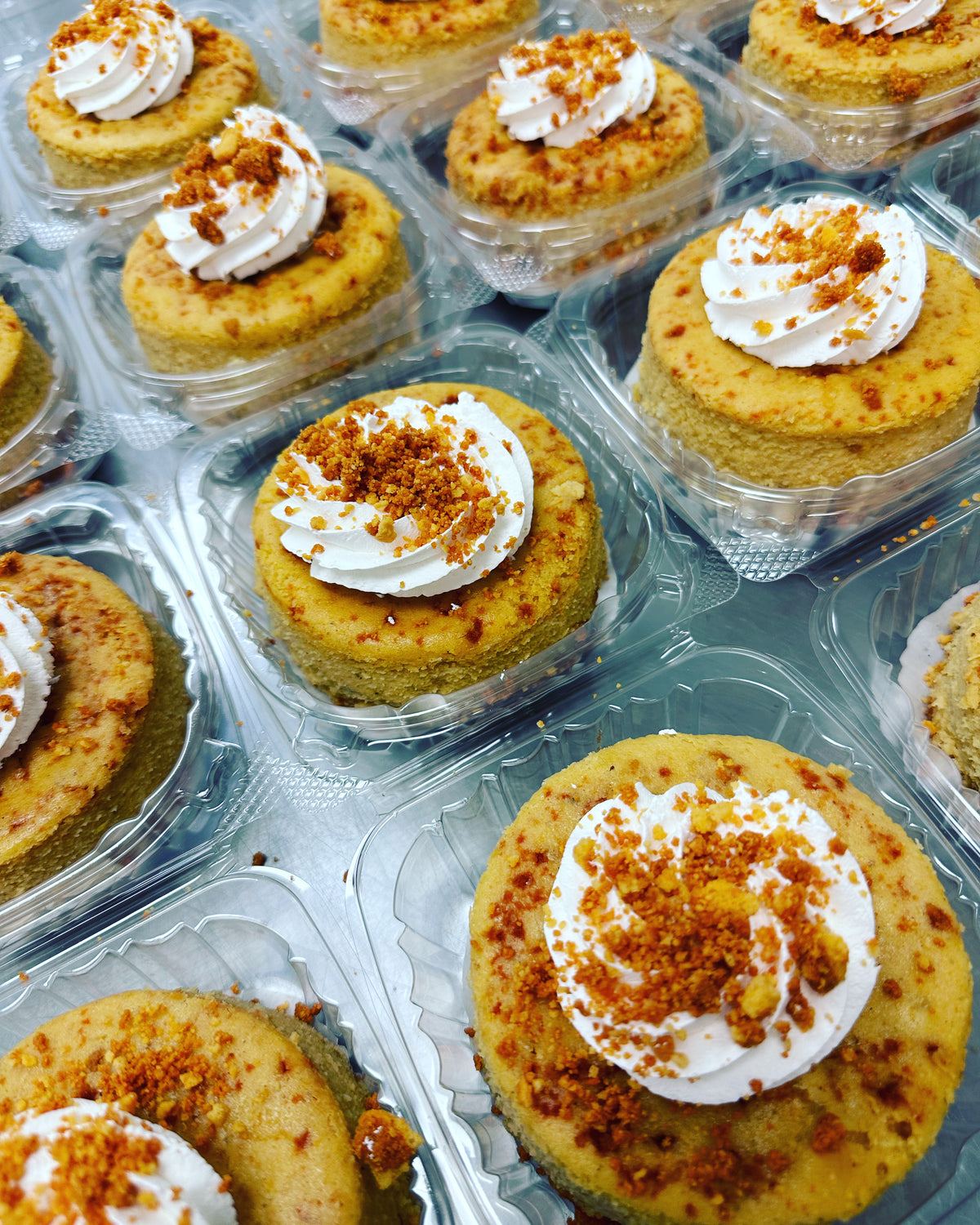 Pumpkin Oreo Cheesecake